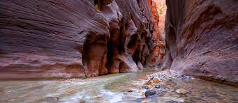 Planning a trip in two weeks and concerned about the river bacteria warning on zion national park website, were there sections of the narrows that were closed due to this bacteria? Five Interesting Facts About The Zion Narrows The Trust For Public Land