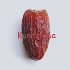 Pohon kurma tumbuh dengan lambat. Kurma Ma Publicaciones Facebook