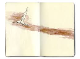 Morocco Sketch And Moleskine Journal Diabat Morocco Moleskine Moleskine Journal Bird Sketch