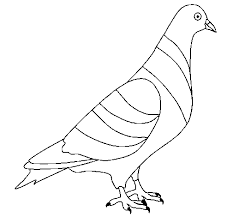 Check spelling or type a new query. Turtledove Coloring Page Coloringcrew Com