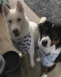 Looking for job applicant contact information