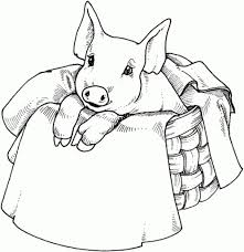We have collected 37+ peppa pig coloring page for kids images of various designs for you to color. Pig Coloring Pages Coloring Rocks