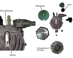 Imagen de Reductor GLP y sus Membranas Internas