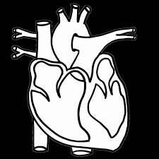 Pin On Nursing School Cheat Sheets