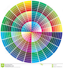Vector Color Wheel Stock Vector Illustration Of Profile