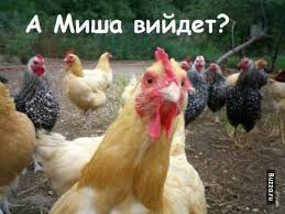 Картинки прикольные смешные скачать бесплатно