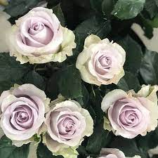 Claim your listing | testimonials. Georgia State Floral Distributors Augusta And Savannah Home Facebook