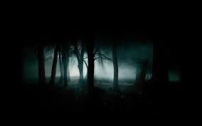 Maybe you would like to learn more about one of these? 20 Forest Hd Wallpapers Background Images