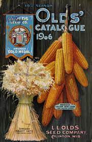19th Season Olds Catalogue 1906 Seed Catalogs Vintage Seed Packets Seeds