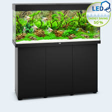 Fluval 240 aquarium and cabinet. Juwel Aquarium Rio 240 Led Purchase Online