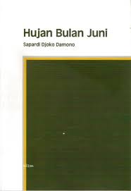 Hujan bulan juni (indonesian edition). John Ferry Sihotang S Review Of Hujan Bulan Juni