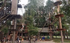 Climb on amazing circuits from tree to tree. The Perfect Fun And Adventure Trip To Singapore And Bali Upload Article