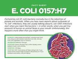 Signs and symptoms of e. E Coli Fact Sheet All About E Coli 0757 H7 Sani Professional