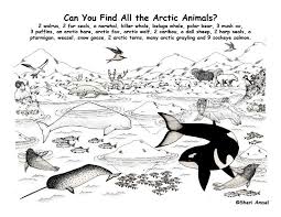 Coloring pages of arctic animals. Pin On Waterworld Veemaailm