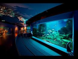 Istanbul Akvaryum Florya Youtube