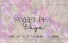 Sweet Pea Days