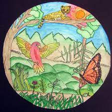 Biome Illustrations Biomes Link Art Art Projects