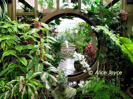 At different heights on a conservatory or sunroom wall. San Francisco Conservatory Of Flowers Alice S Garden Travel Buzz