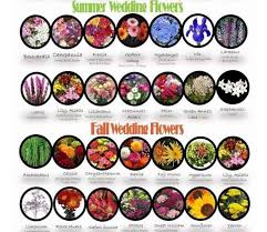 What flowers are in season in september for wedding. In Season Flowers For September Weddings Style And Decor Wedding Forums Weddingwire