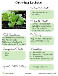 We did not find results for: Garden Guide How To Grow Lettuce Frugal Family Home