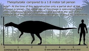 Theiophytalia Prehistoric Wildlife Dinosaur Silhouette Prehistoric Creatures