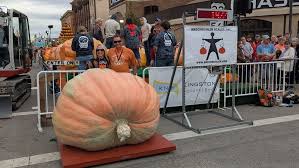 Image result for giant pumpkin