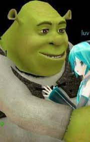 Pin By Lolicorpse On Shit I Find Amusing In 2021 Vocaloid Funny Miku Vocaloid Memes