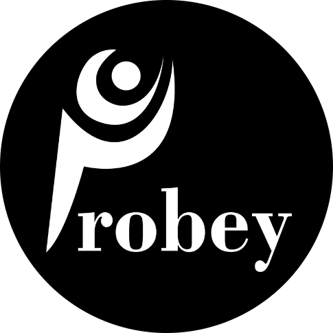 Probey Services | Professional Web Design & App Development