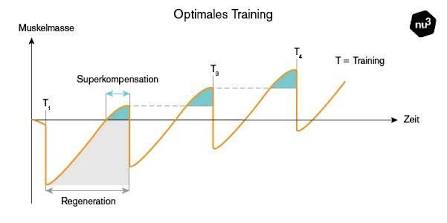 Verlauf des optimalen Trainingsaufbaus, KI-generiert