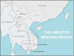 China And Vietnam Need Sustainable Coffee Farmingdaily Coffee News By Roast Magazine