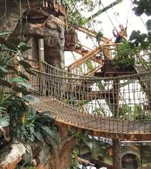 Die bewohner des haus des meeres. The Haus Des Meeres An Aquarium Like No Other Just Go Places