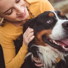 Garde chien à Sainte-Gemmes-le-Robert (53)