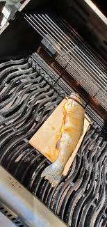 How to sous vide zucchini. Lachsforelle Von Der Planke Mit Sous Vide Spargel Und Zucchini Vom Grill Grillforum Und Bbq Www Grillsportverein De