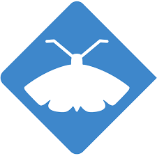 Cincinnati oh exterminator, pest control & termite inspector. Pest Control Services In Cincinnati Oh Moxie Pest Control