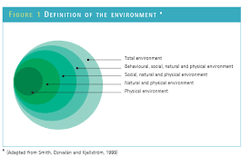 Who Definition Of The Environment Http Www Who Int Quantifying Ehimpacts Publications Preventingdise Physical Environment Environmental Health Environment