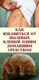 dlya krasoty i zdorovya domashnie sredstva zdorove tovary dlya zdorovya