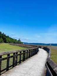 The nisqually wildlife refuge has served as a delta restoration project since 1974. Nisqually Wildlife Refuge Remarkable Day Access To Nature S Balance Kessi World