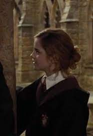 Hermione Granger Hermione Granger Hair Hermione Hair Bun Hairstyles
