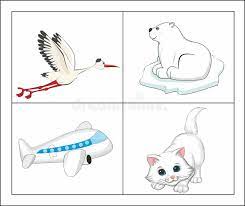 Ensenar Con Color Blanco Para Ninos Ilustracion Del Vector Ilustracion De Material Hielo 162148484