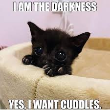 Have a super saturday purple glitter, happy saturday free image, glitter graphic, greeting or meme for facebook, twitter or any. Lovecraft Ezine Happy Caturday Facebook