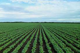 Maybe you would like to learn more about one of these? The Pandemic Must Transform Global Agriculture Opinion Eco Business Asia Pacific