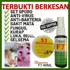 Cara merawat kucing kampung lucu itu mudah. Set Sporo Ubat Kurap Fungus Selsema Sakit Mata Kucing Anjing Pets Spray F7 Dan Krim S3 Shopee Malaysia
