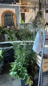 Tegan Graves (@olive_collective)