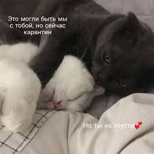 pin na doske dlya samyh vazhnyh peregovorov