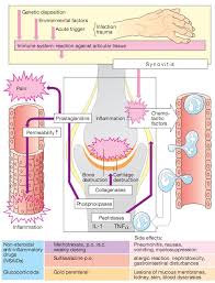 Dmards In The Treatment Of Rheumatoid Arthritis Medchrome