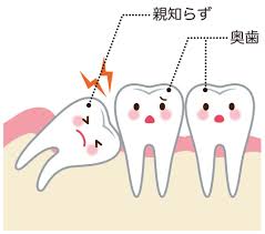 ãåæ²¡ããè¦ªç¥ãããã®ç»åæ¤ç´¢çµæ