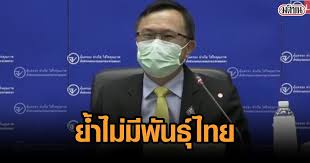 เปิด 5 เรื่องเกี่ยวกับ โควิดสายพันธุ์อินเดีย มีความร้ายแรงขนาดไหน เป็นสาเหตุของการระบาดระลอกใหม่ในอินเดียหรือไม่ จากสถานการณ์การแพร่. Lm3osp2saa Agm