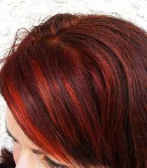 Henna Mixed W Coconut Oil Page 2 Henna Hair Hair Inspiration Hair Beauty