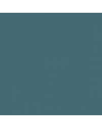 Image result for Frosted Teal 1970 Satellite