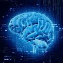 TEORÍA DEL NEUROMARKETING